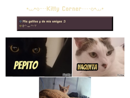 pages/pets/kitty_corner screenshot