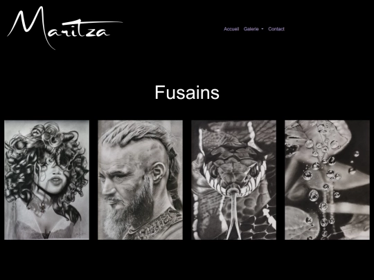 fusains screenshot