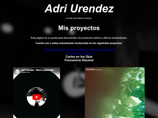proyectos screenshot