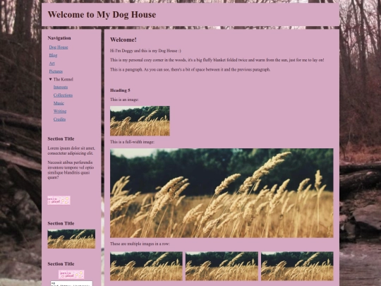 Website screenshot