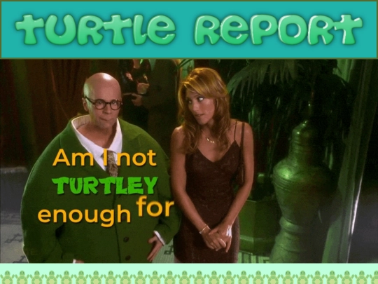 turtleclub screenshot