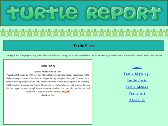 turtlefacts screenshot