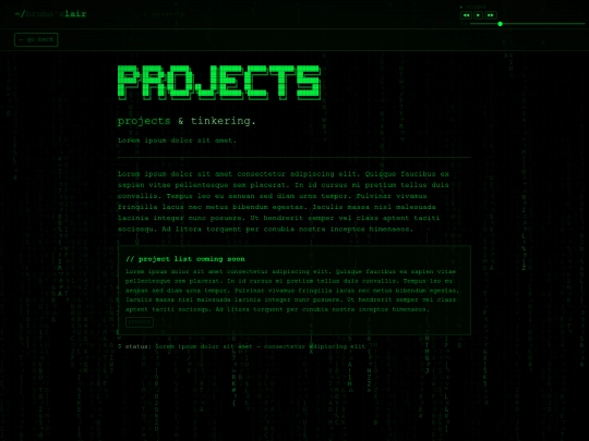 projects screenshot