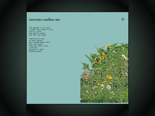 journals/warmth/currents screenshot