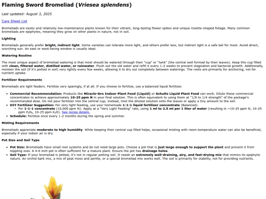 caresheets/vriesea_splendens screenshot