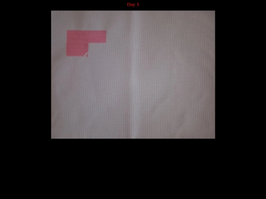 ForTiny/Tiny5 screenshot