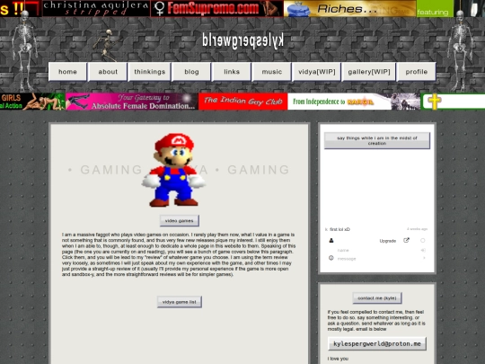 vidya screenshot