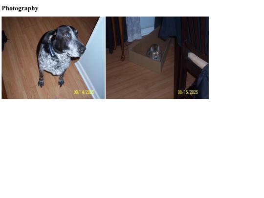 photography screenshot