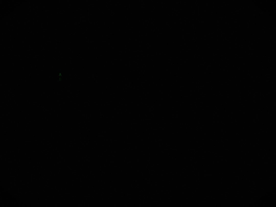 cmatrix screenshot