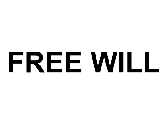 freewill screenshot