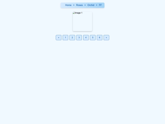 foreign5 screenshot