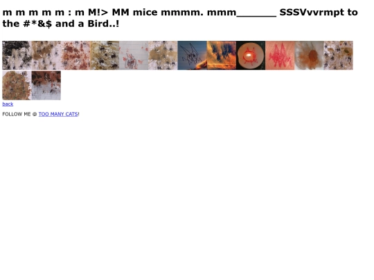 M5 path/m5 screenshot