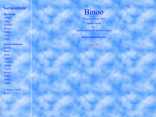 binoo screenshot