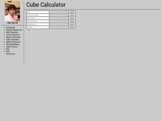 cubecalculator screenshot