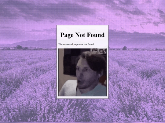 not_found screenshot