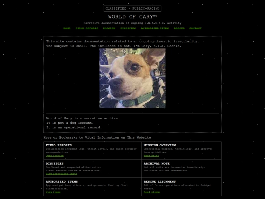 Website screenshot