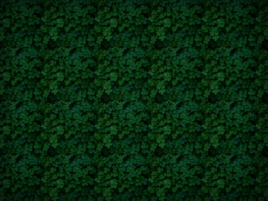 links screenshot