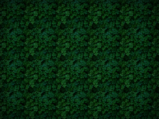 photos screenshot