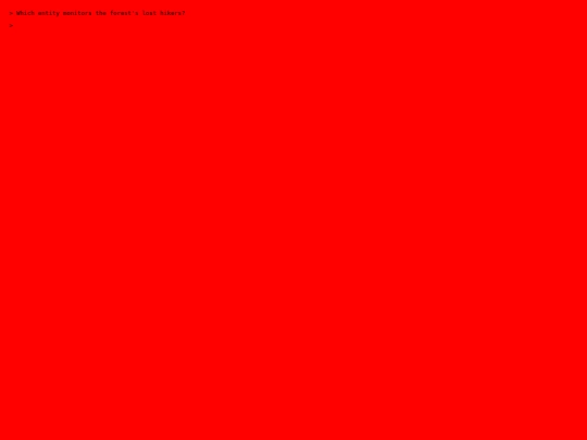 questionsn1 screenshot