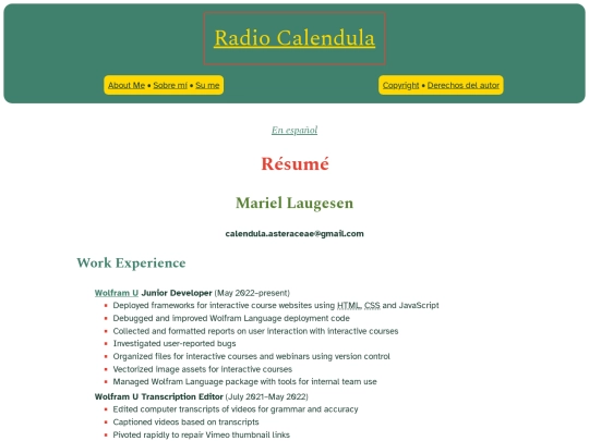site/resume screenshot