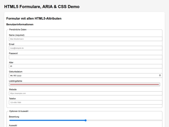 help-for-html-codes/html5-form-aria-css-demo screenshot