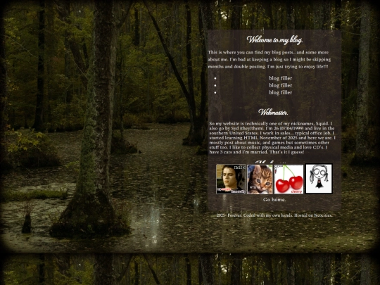 blog screenshot