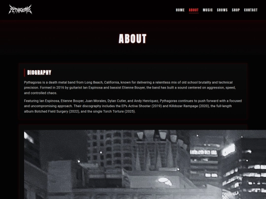 Website screenshot