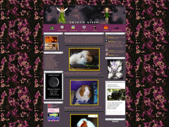 petspage screenshot
