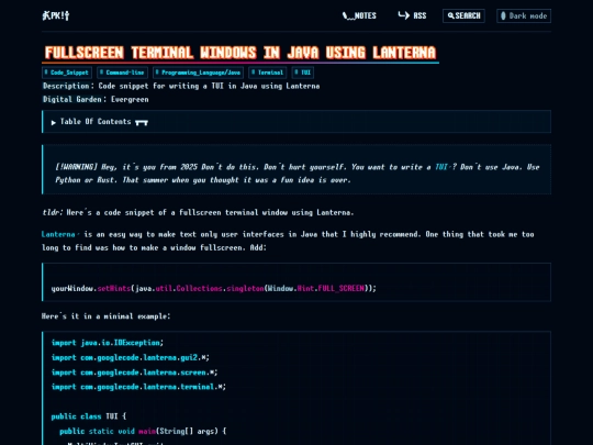 pages/Fullscreen Java Terminal Windows screenshot