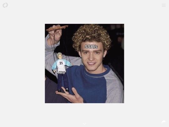 My memes, my self | The Outline