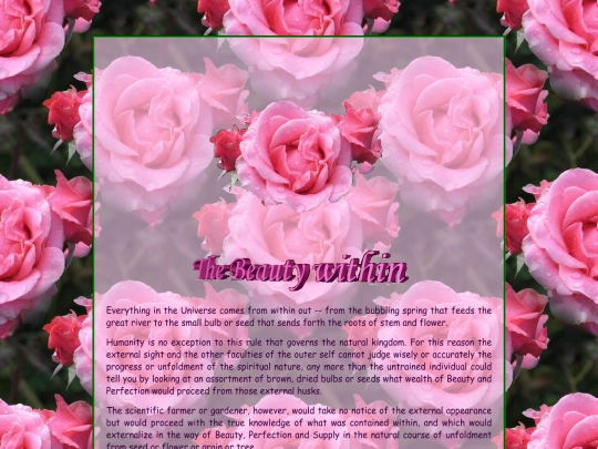 Extra_4/Roses screenshot