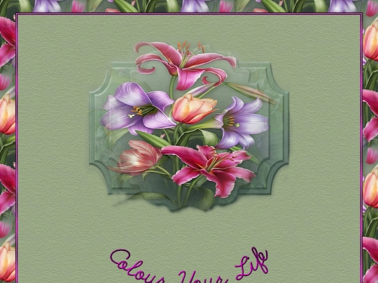 Extra_7/Compassion screenshot