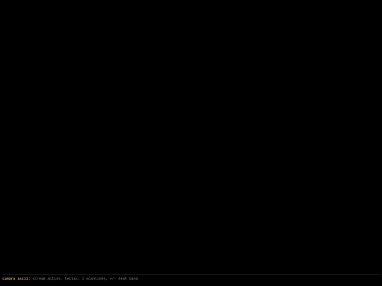 sketches/camera-ascii screenshot