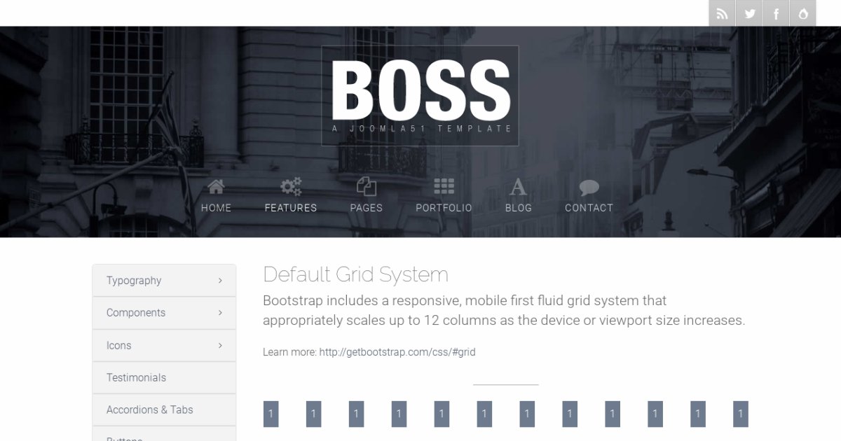 Boss - Professional Bootstrap Template