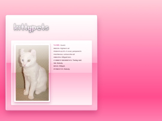kittypets screenshot