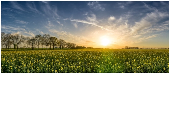 EJERICIOFRAMES/10a2 screenshot