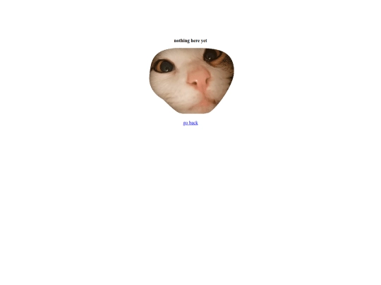 404 screenshot