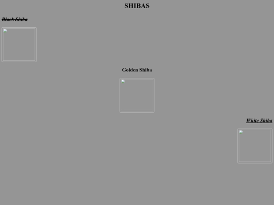 CSS1/PageTwo screenshot