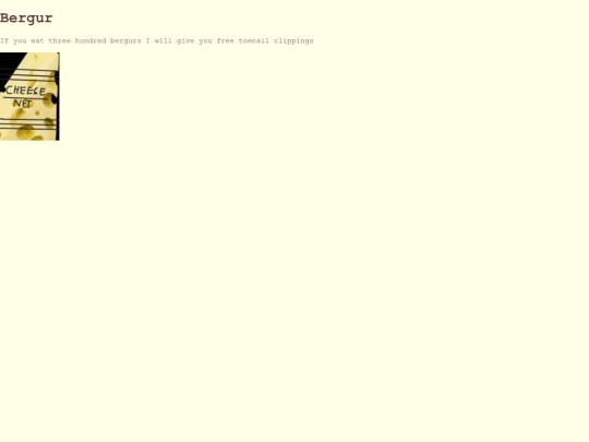 bergur screenshot