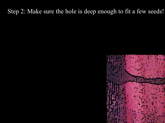 Page4 screenshot