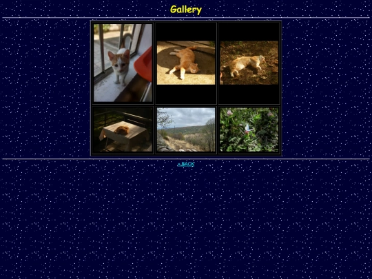 gallery screenshot