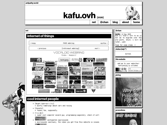 net screenshot