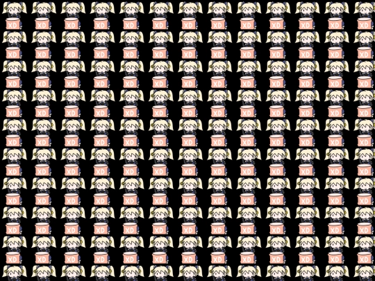 XD screenshot