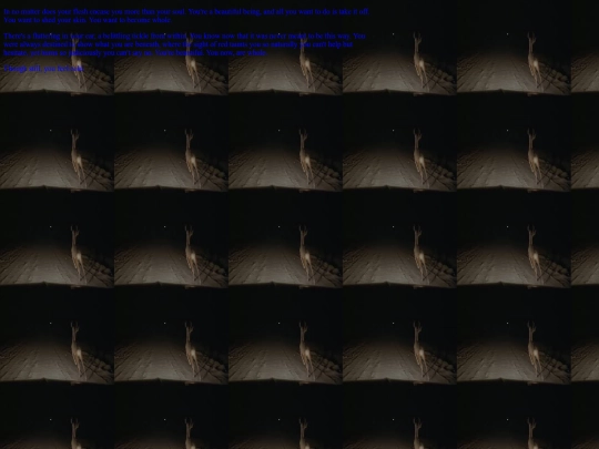 inner screenshot