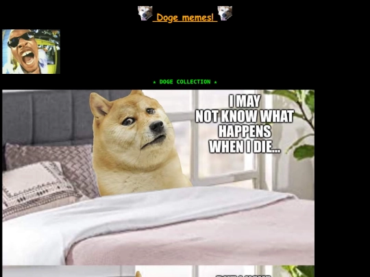 doge screenshot