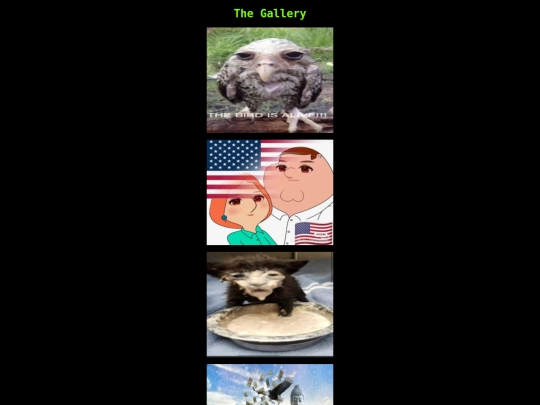 gallery/myflexbox screenshot
