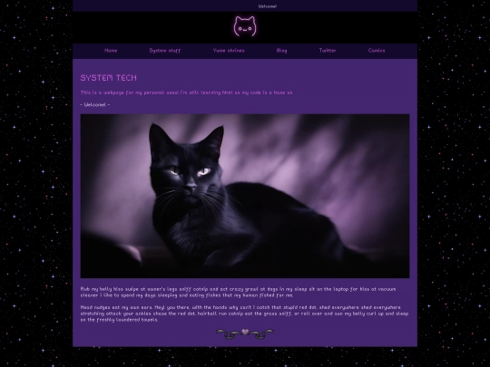 System screenshot