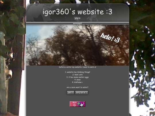 archive/1/oldweb screenshot