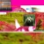 springkiie.neocities.org avatar
