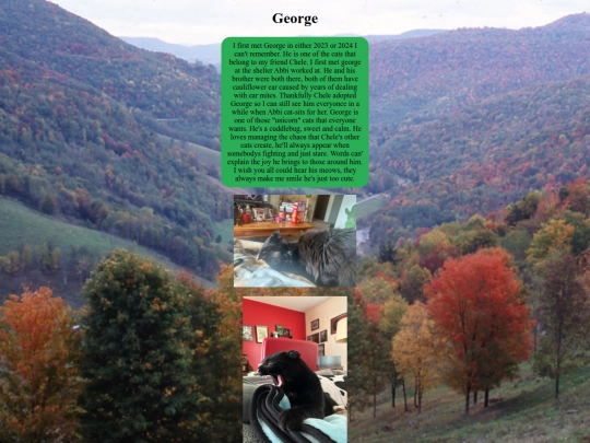 george screenshot
